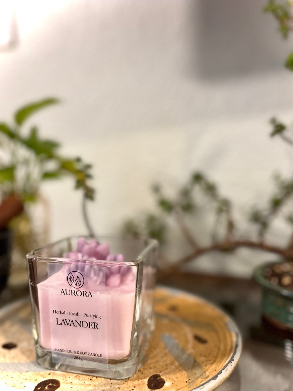 Suculents Lavender Soy Candle - Pink